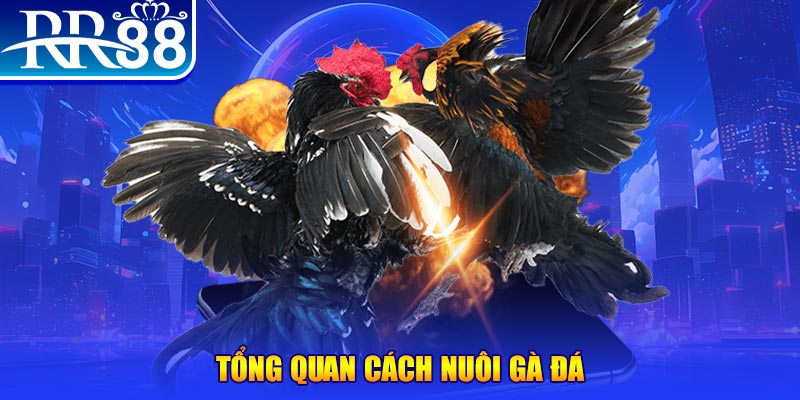 sv888 game nổ hũ rút tiền mặt là gì