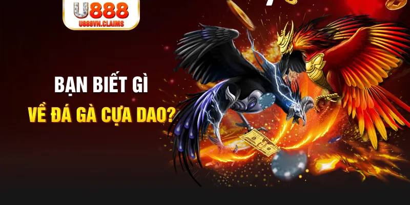 sv888 SW Xổ Số