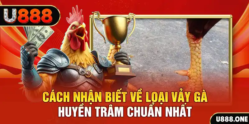 sv888 đăng nhập nổ hũ số 1