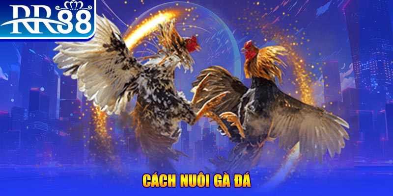 sv888 đăng nhập phỏm đổi thưởng