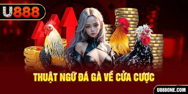 sv888 hơn cả bạn bè