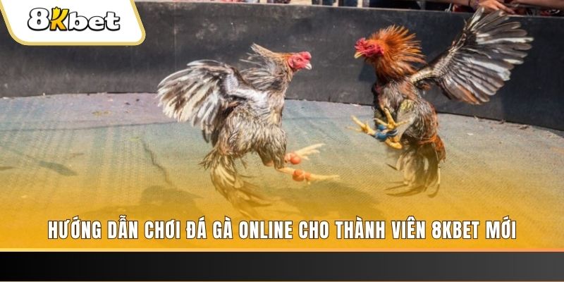 sv888 JILI Game Bài 3d