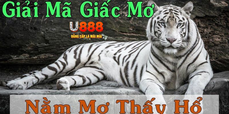 sv888 xổ số miền bắc xổ số miền bắc