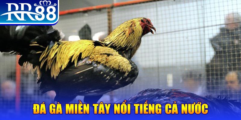 sv888 xổ số đại phát