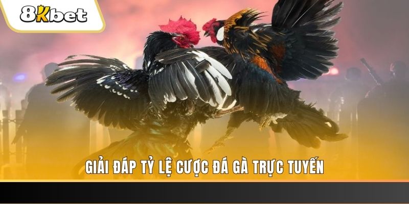 sv888 ga choi cau thanh