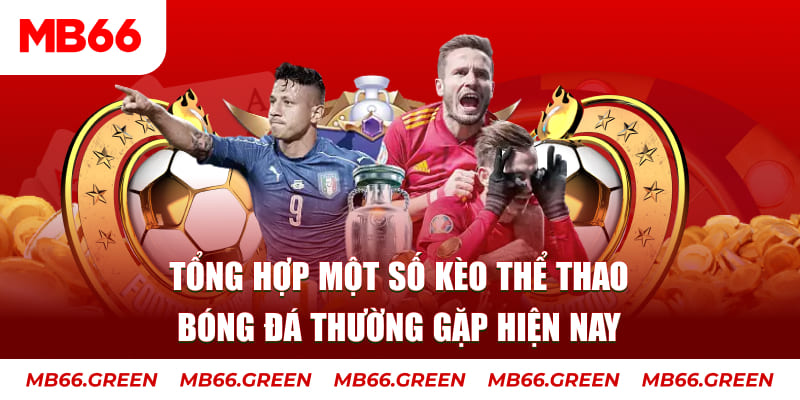 sv888 người chia bài trong casino gọi là gì