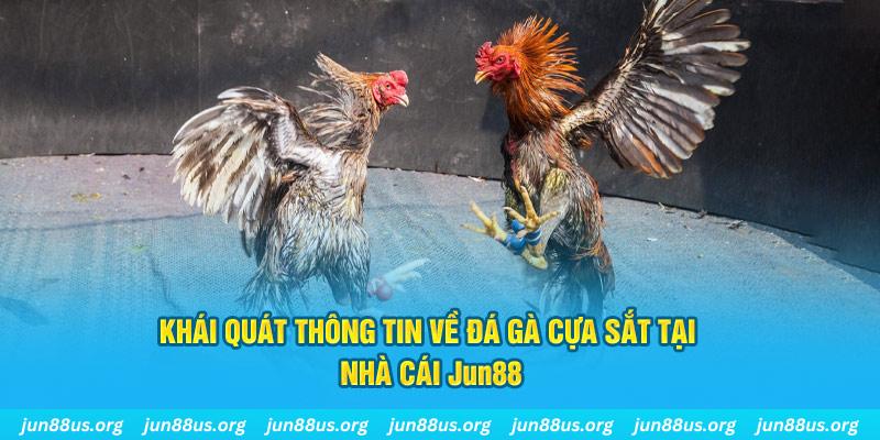 sv888 xổ số miền bắc thứ bảy hàng tuần