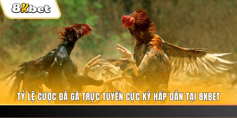 sv888 đăng nhập nổ hũ trực tuyến