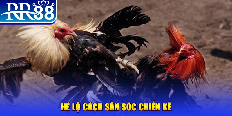 sv888 xổ số miền trung thứ tư