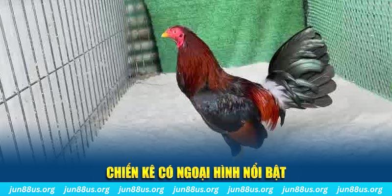 sv888 game bắn cá