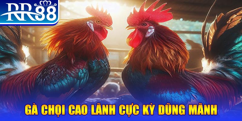 sv888 HB Điện Tử