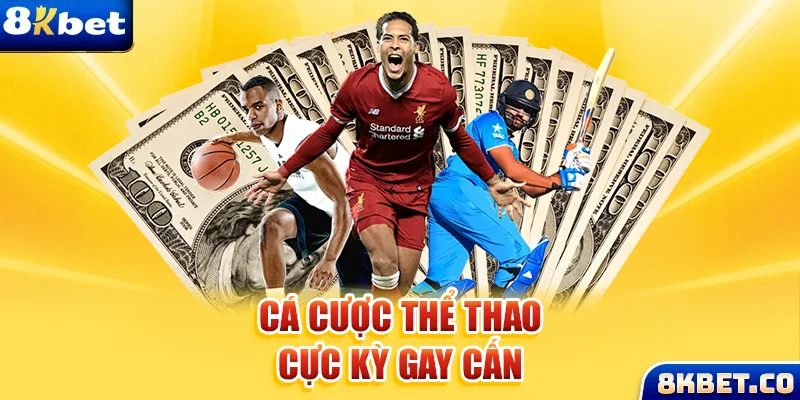 sv888 xem đá gà trực tiếp